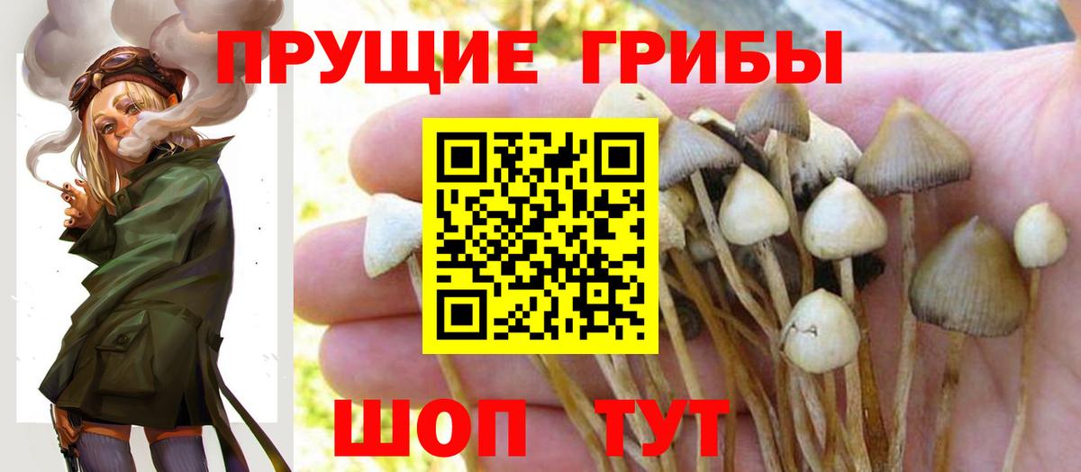 Псилоцибиновые грибы MAGIC MUSHROOMS  Псилоцибиновые грибы MAGIC MUSHROOMS  Вход с VPN  Луга 