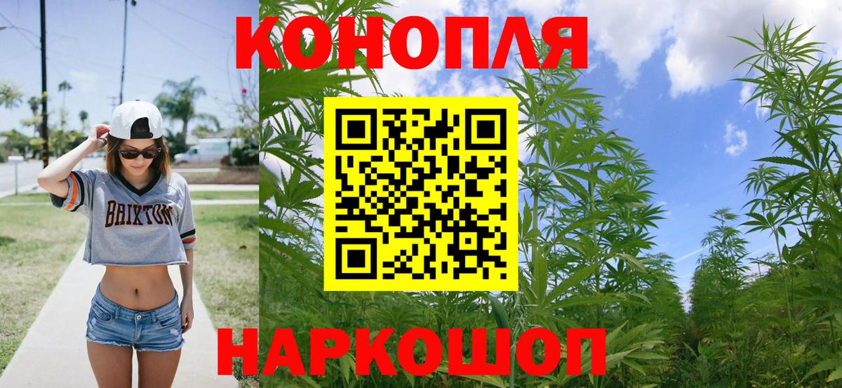 МАРИХУАНА SATIVA & INDICA Луга